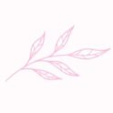 decorative-pink-leaf-icon